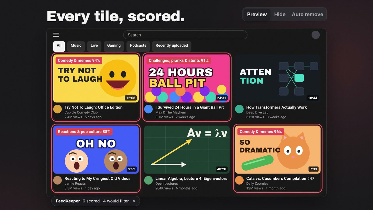 Preview mode: matching videos get a red outline and a decision badge
